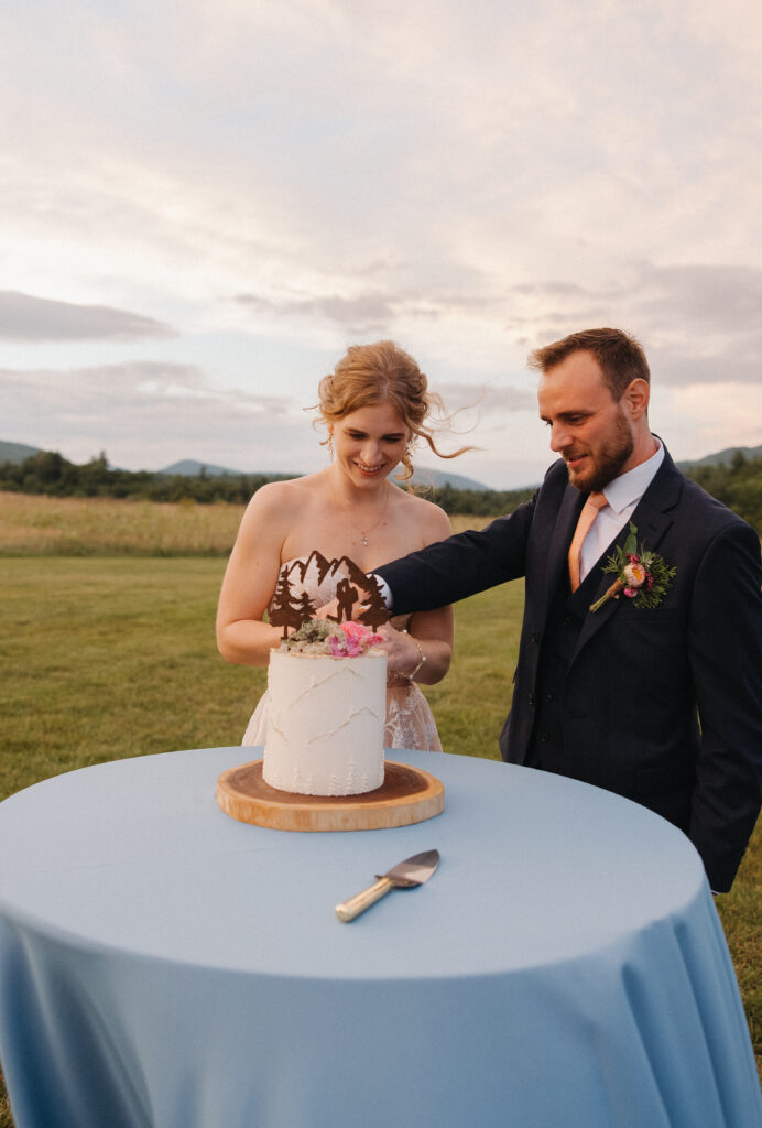 couple cake cutting photo